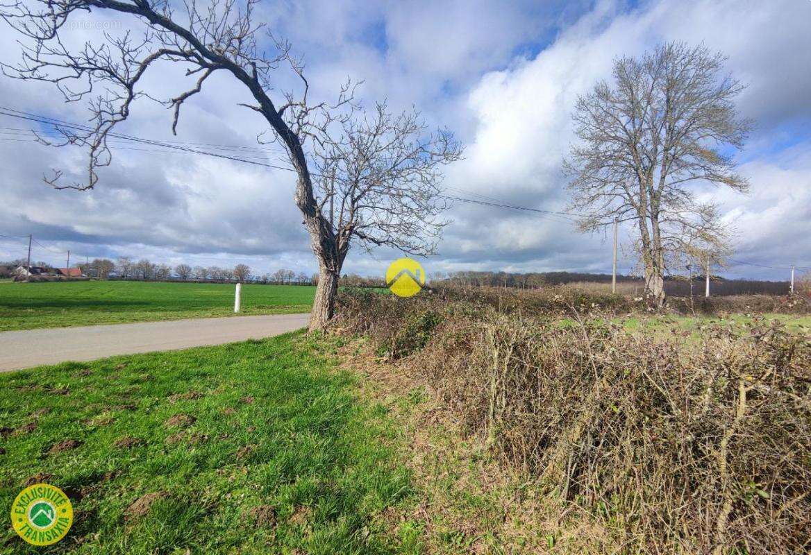 Terrain à MENETOU-COUTURE