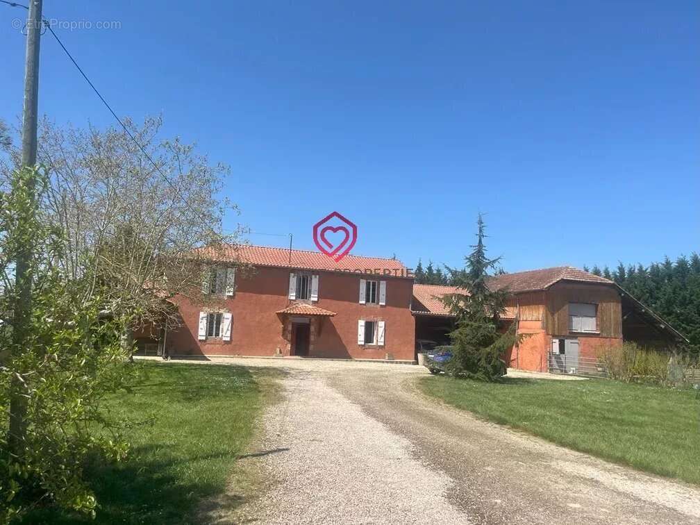 Ferme avec vue Pyrénées dégagée - photo 3