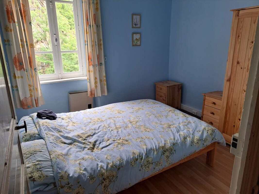 Maison en pierre 168m2, 11 pièces, terrasse et terrain à Carcanières les Bains - photo 18