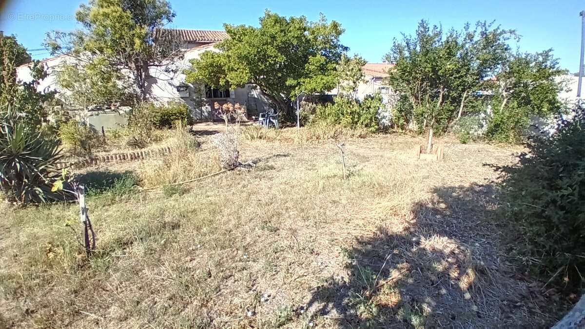 Beau terrain avec remise - photo 2