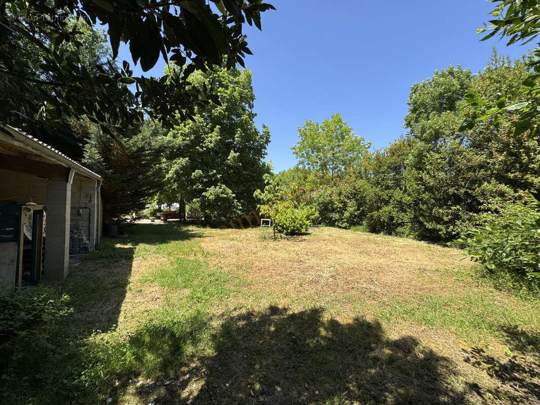 Maison avec jardin de 3500m2 environ - photo 8