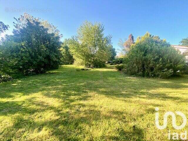 Photo 3 - Maison à SAINT-GERMAIN-DU-PUCH