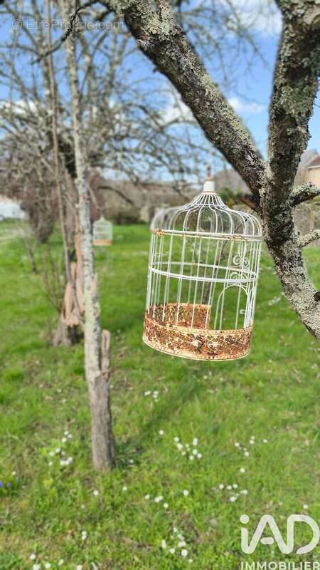 Photo 5 - Terrain à LE POINCONNET