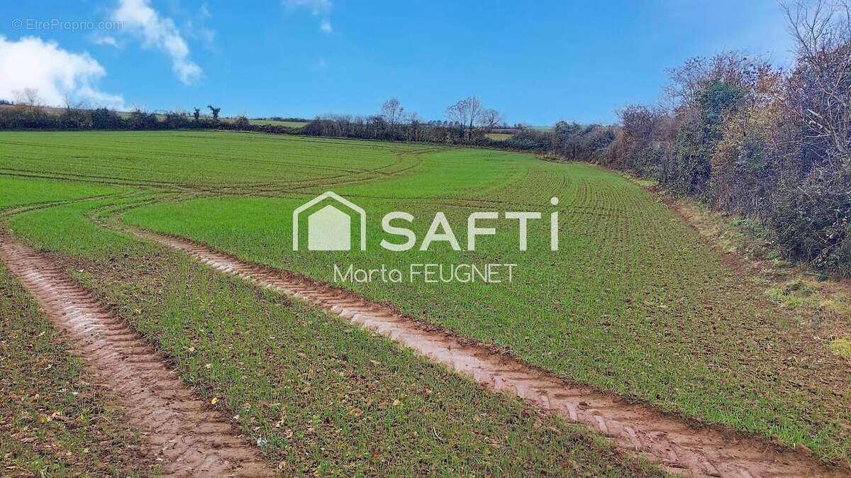 Photo 2 - Terrain à MAREUIL-SUR-LAY-DISSAIS