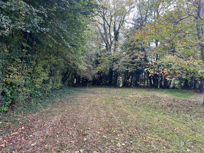 Terrain à SAINT-PIERRE-AZIF