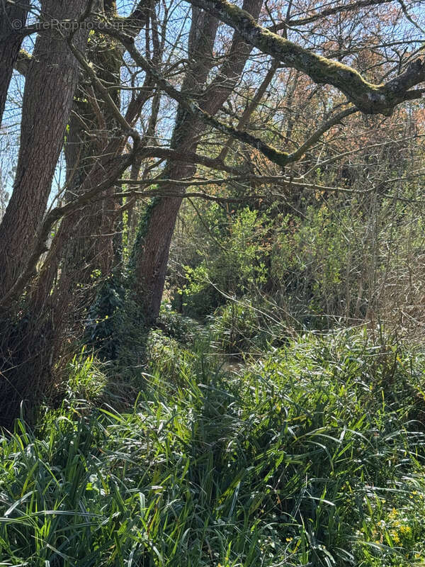 Maison à SAINT-ANDRE-DE-LIDON