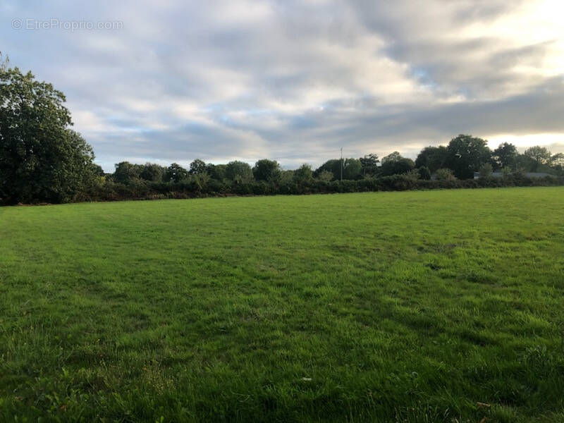 Terrain à ATHIS-DE-L&#039;ORNE