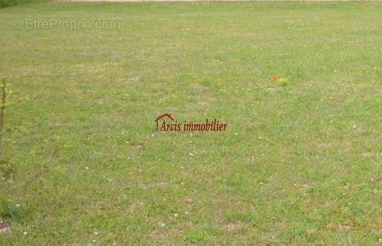 Terrain à MERY-SUR-SEINE