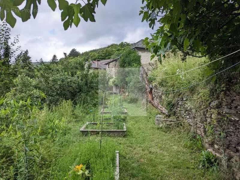 Maison à SAINT-ANDRE-DE-LANCIZE