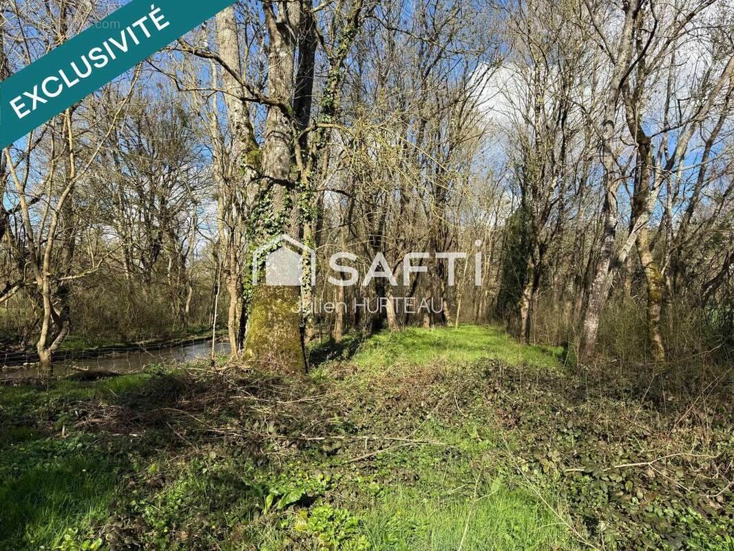 Photo 3 - Terrain à VOUILLE