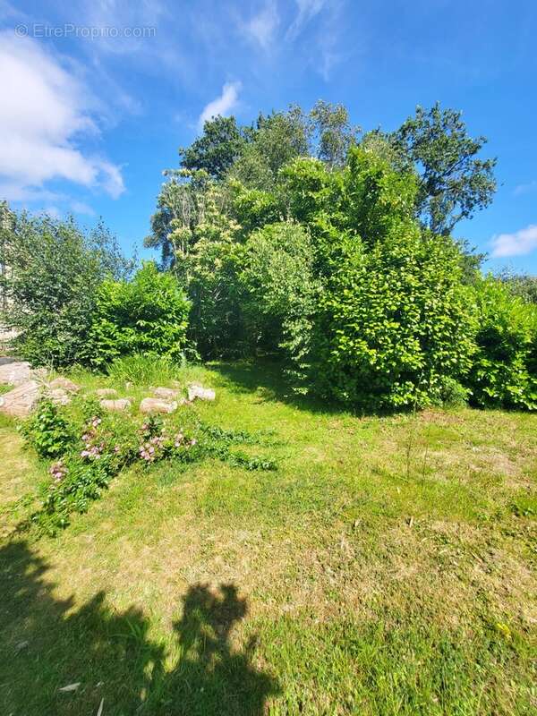 Terrain constructible à vendre  ARGOL (29) - photo 3