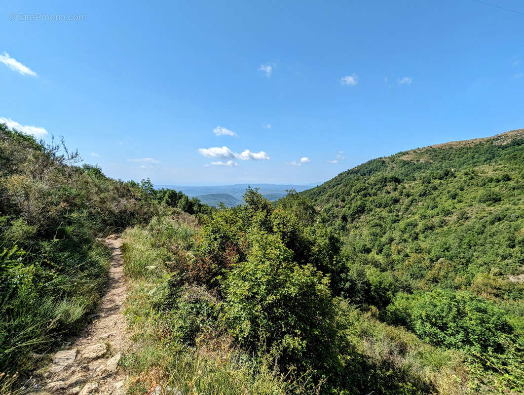 Terrain de 68490 m2 NON CONSTRUCTIBLE, Vence 06140 - photo 6