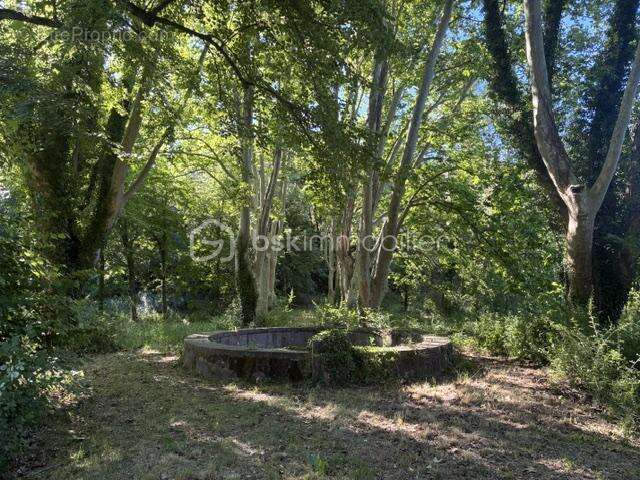 Domaine remarquable – Bastide du XVII siècle à réinventer, entre Aix-en-Provence, Marseille et Cassis - photo 18
