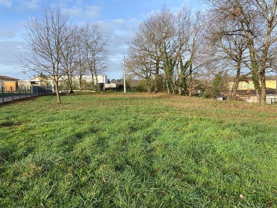 Terrain à BARON