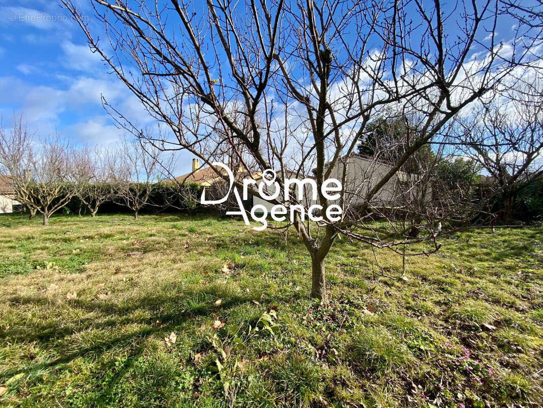 Terrain 772 m² à Cornas  - photo 2