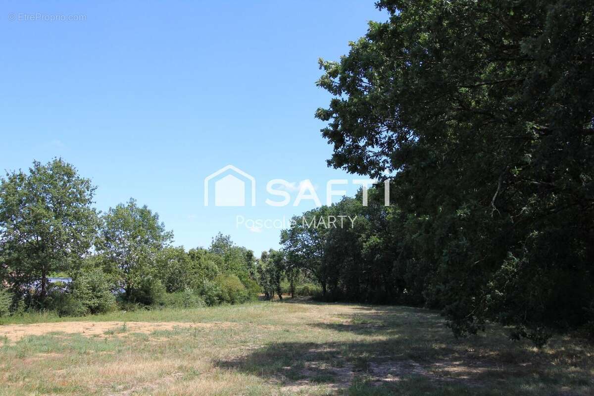 Terrain 1752 m² à Villaudric  - photo 4