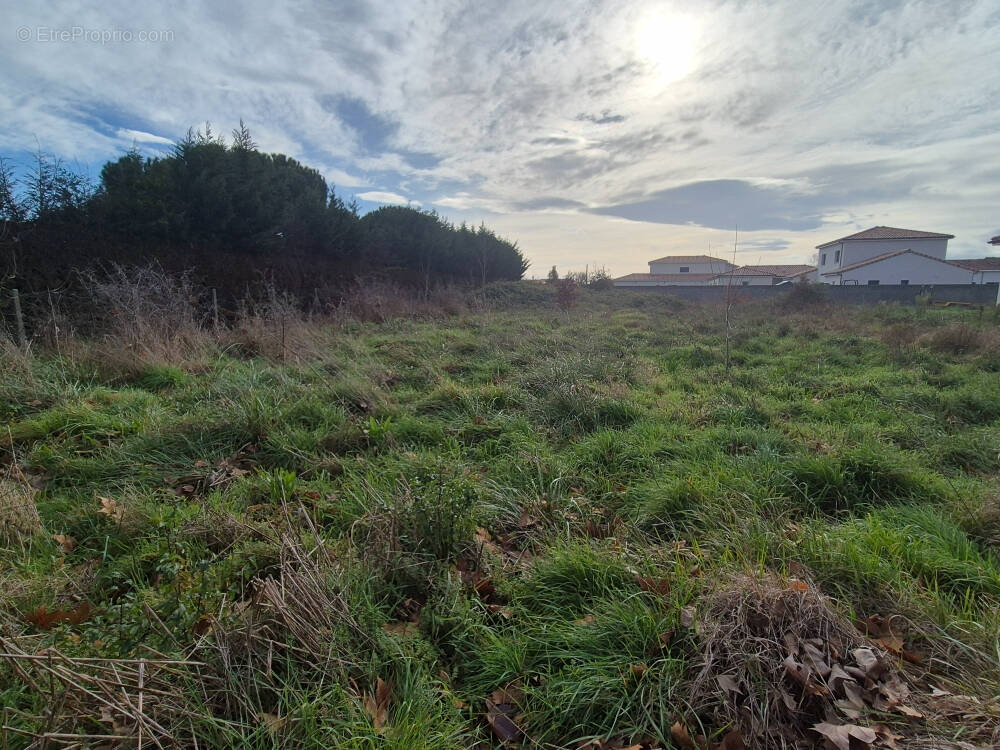 Terrain à LEGUEVIN