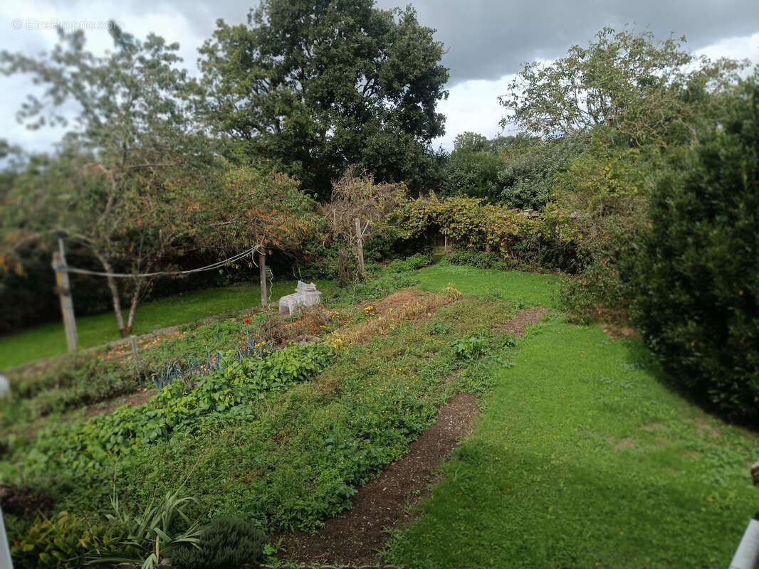 Maison à NEANT-SUR-YVEL