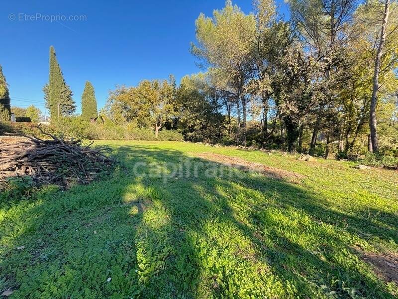 Terrain à MOUGINS