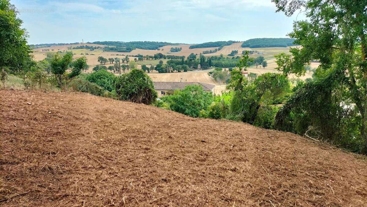 Terrain constructible Puycasquier(32120) 603m² - photo 6