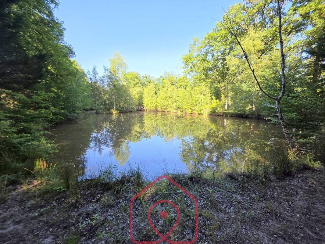 Terrain à NOUAN-LE-FUZELIER