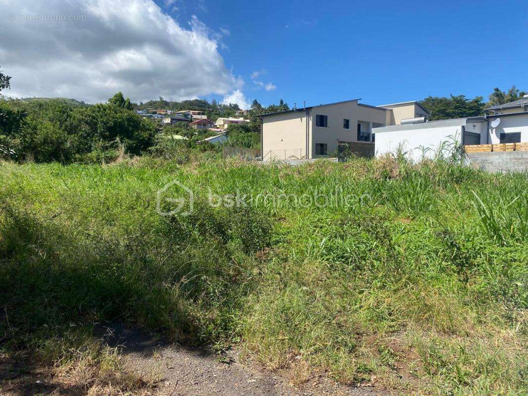 Terrain à PETITE-ILE