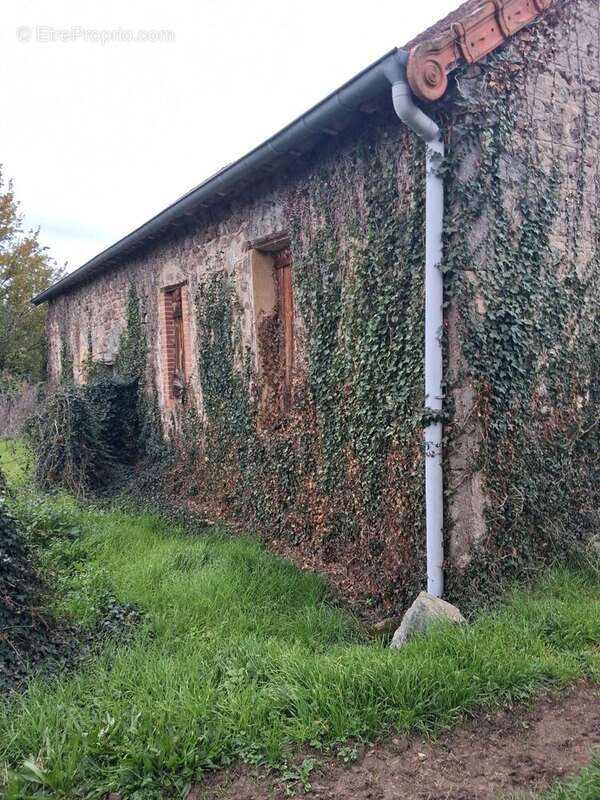 Maison à NIZEROLLES