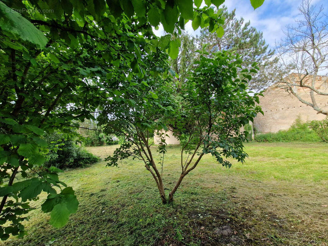Terrain à SAINT-CIERS-SUR-GIRONDE