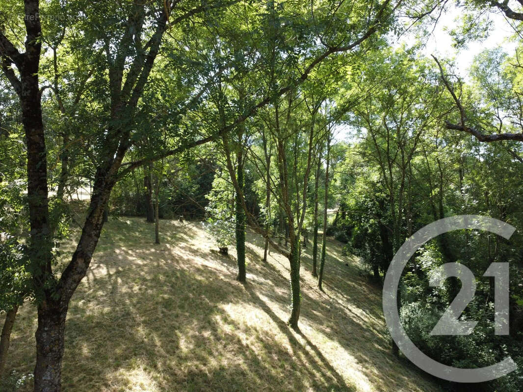 Maison 220 m² à Saint-Jeure-D'ay  - photo 24