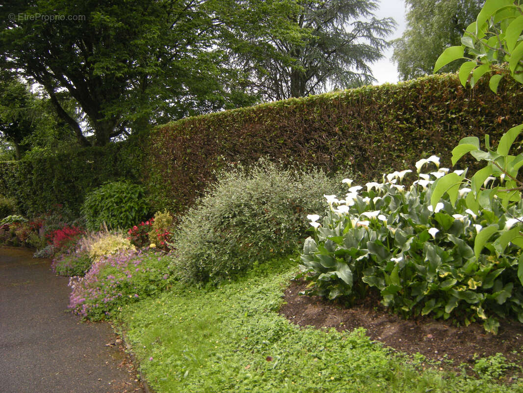 Maison à COURCELLES-LES-MONTBELIARD