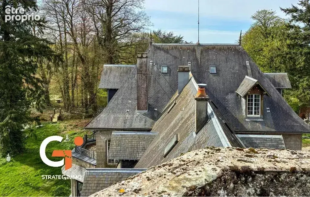 Château du XVIIe siècle – 2 000 m² – 4,5 ha – Dépendances - photo 2