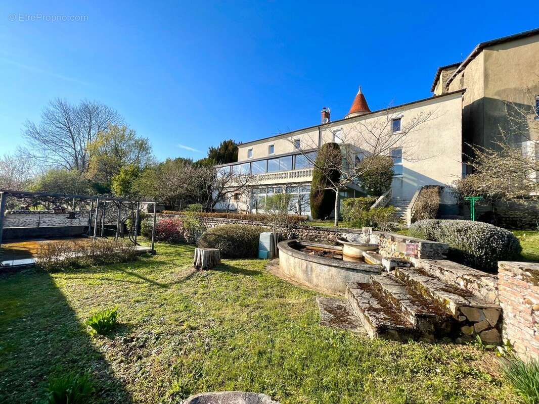 Maison 294 m² à Le Grand-Serre  - photo 4