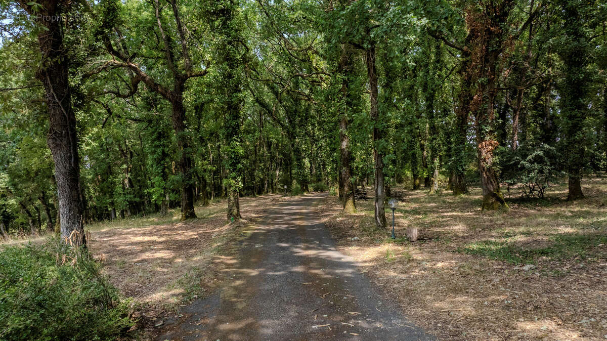Propriété d'exception sur 35ha avec lac privé et vue panoramique - photo 28