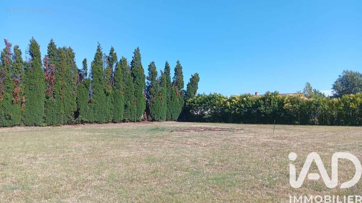 Terrain 1020 m² à Labastide-D'anjou  - photo 2