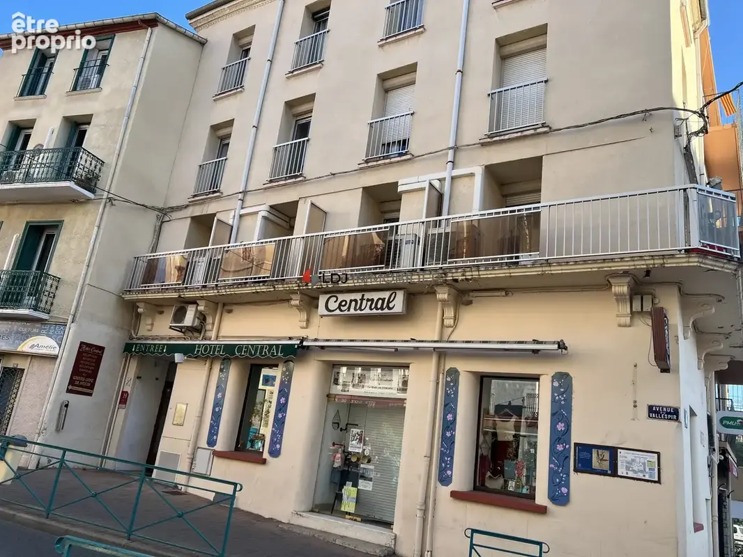 Bien immobilier à vendre à Amelie-Les-Bains-Palalda (66110) - photo 3