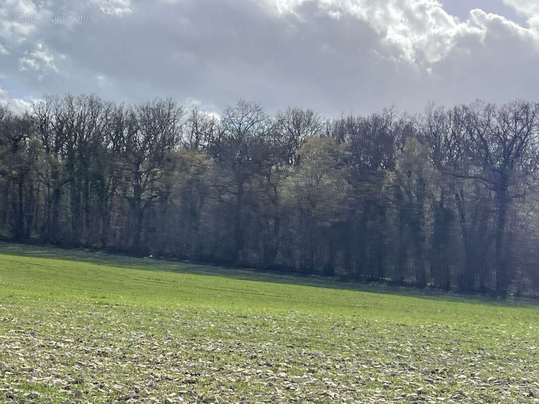 Terrain à CHEZAL-BENOIT