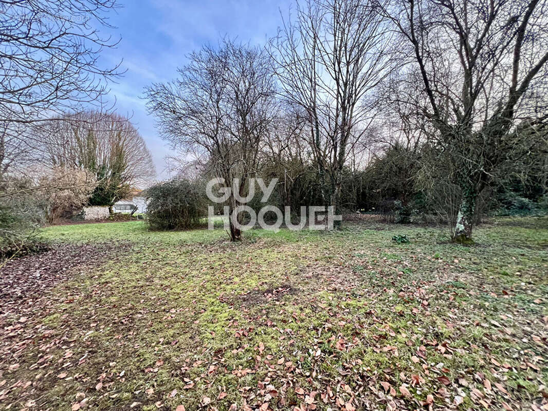 Terrain à REIGNAC-SUR-INDRE