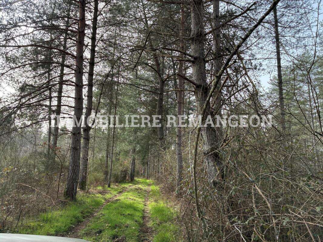 Maison à LAMOTTE-BEUVRON