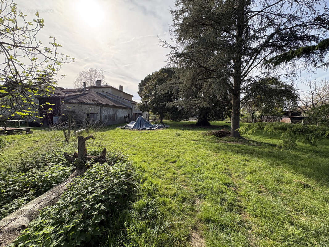 Maison en pierre de 178 m2 avec dépendances et terrain de 4 668 m2 constructible - photo 2