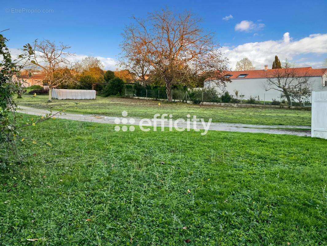 Terrain à BOUTIERS-SAINT-TROJAN