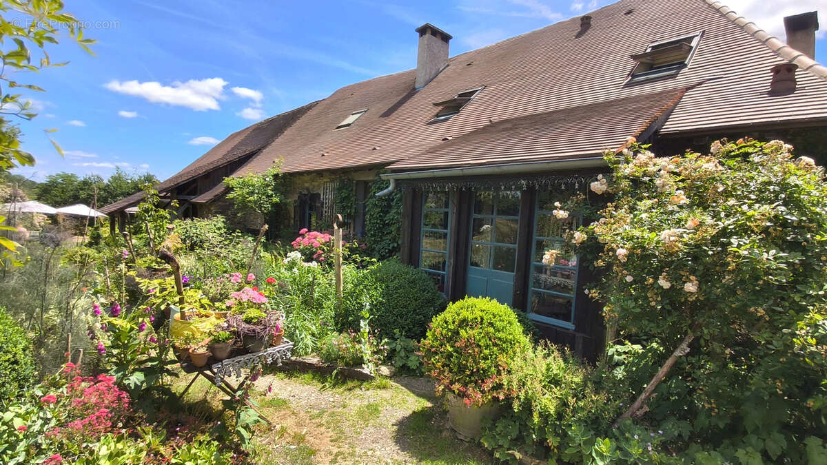 Maison d'artiste avec jardin botanique, source - Terrain 1,6 hectare - photo 2