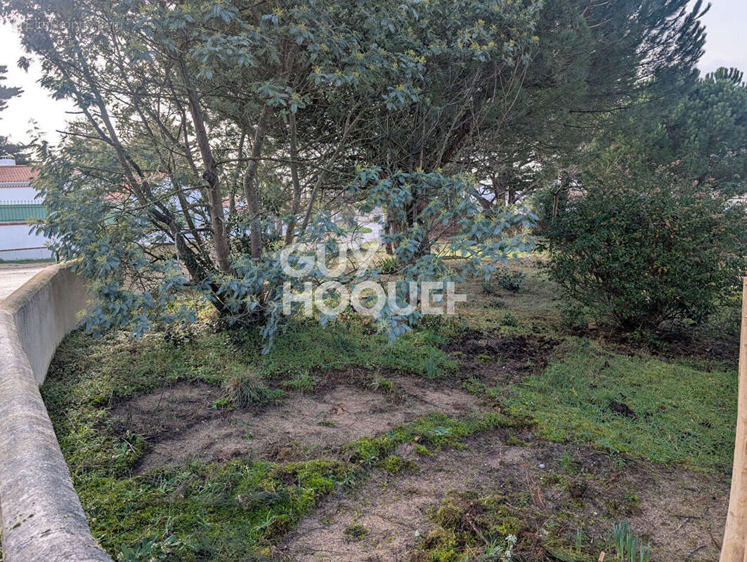 Terrain à SAINT-HILAIRE-DE-RIEZ