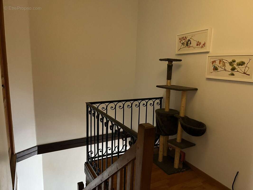 Maison 150 m² à Plottes  - photo 9
