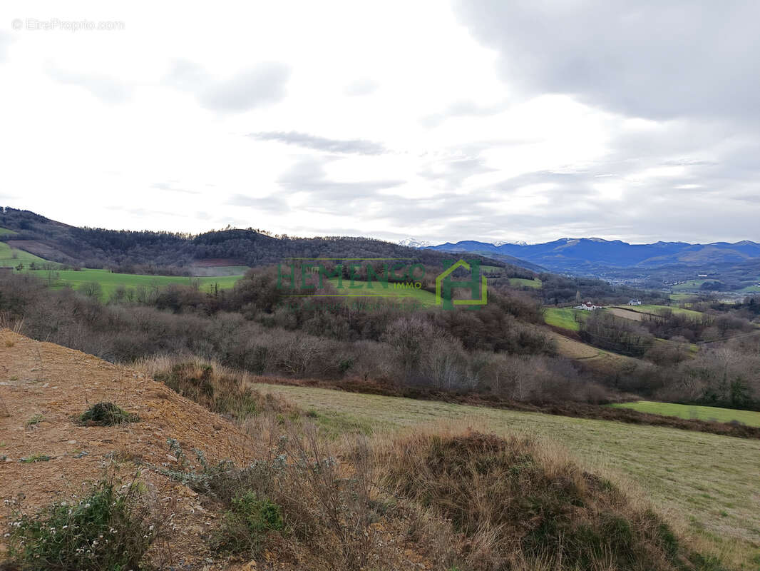 Terrain à MONCAYOLLE-LARRORY-MENDIBIEU