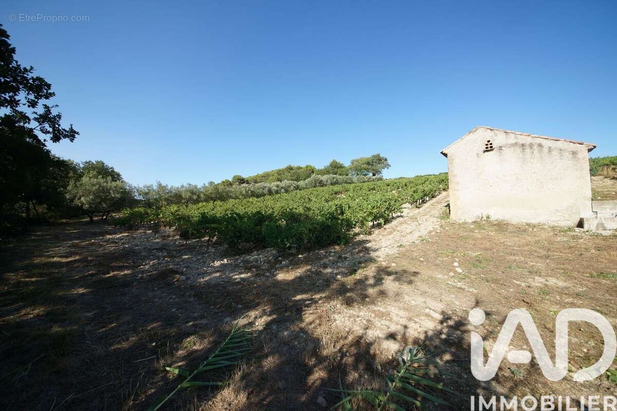 Terrain 7360 m² à Saint-Maurice-Sur-Eygues  - photo 6