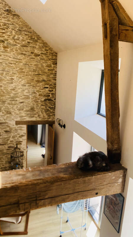 Maison à SAINT-MARS-DU-DESERT