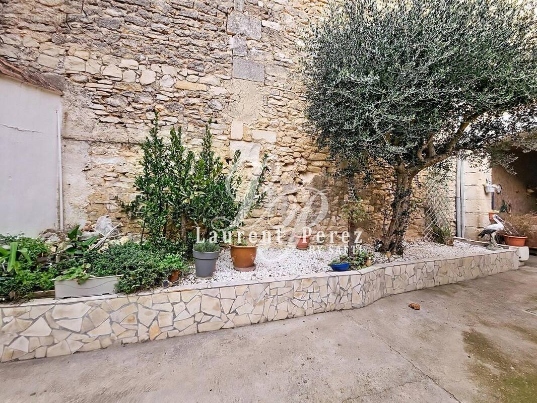 Photo 1 - Maison à LANSARGUES