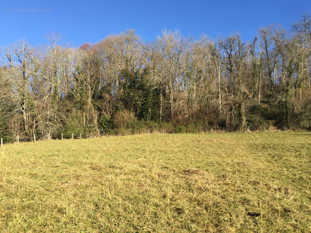 Parcelle de terrain à bâtir, sur la commune de LASSEUBE. - photo 8