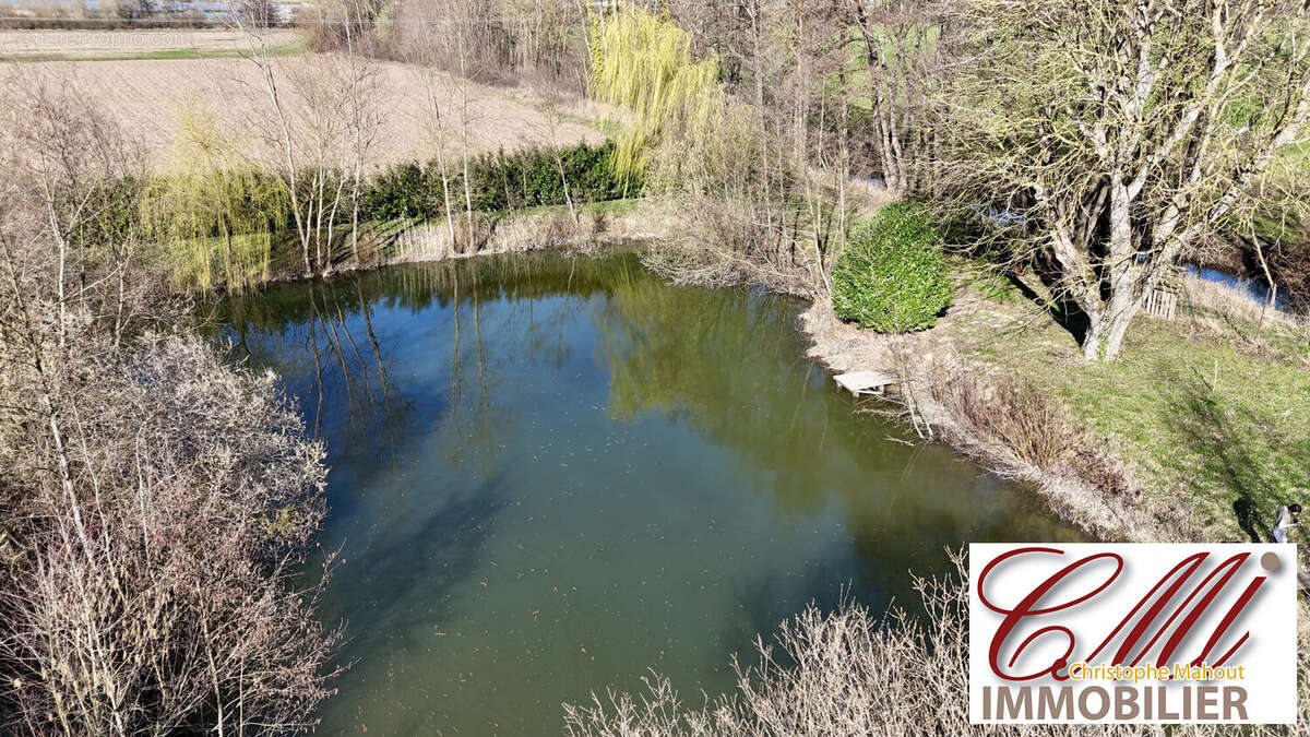 Terrain à SERMAIZE-LES-BAINS