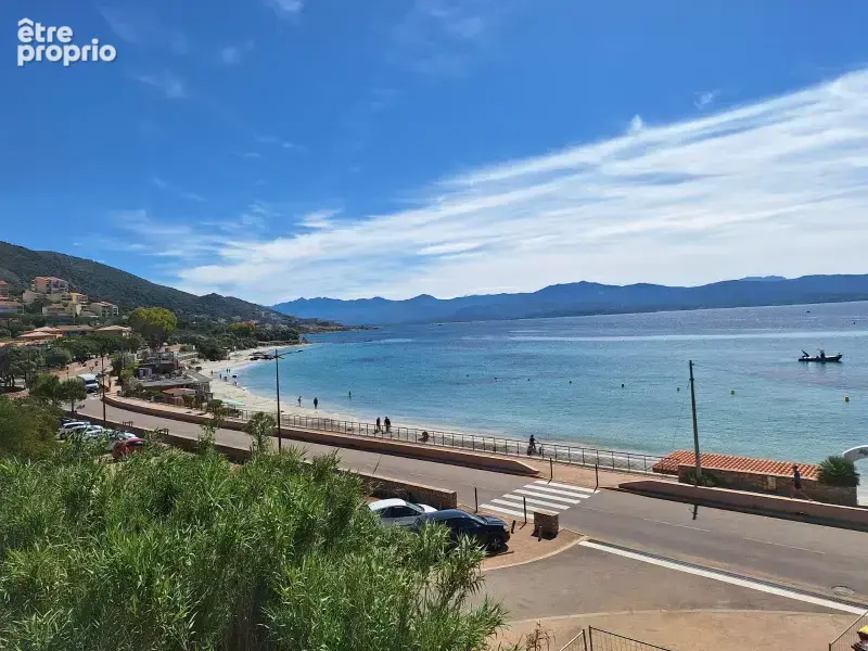 T3 récent de standing route des Sanguinaires 80m2 en bord de mer - photo 1